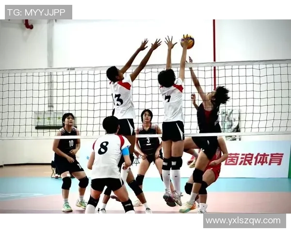 排球意识排行榜揭晓上海排球队荣登第六位展现团队实力与战术智慧